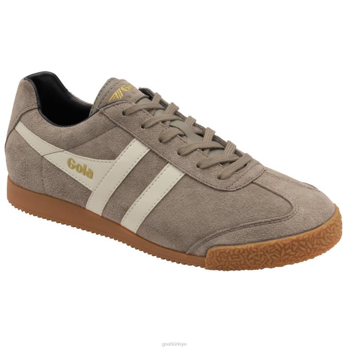 ayakkabı Z2PF131 erkekler Gola klasik harrier süet spor ayakkabı 4 gergedan/kırık beyaz/lacivert