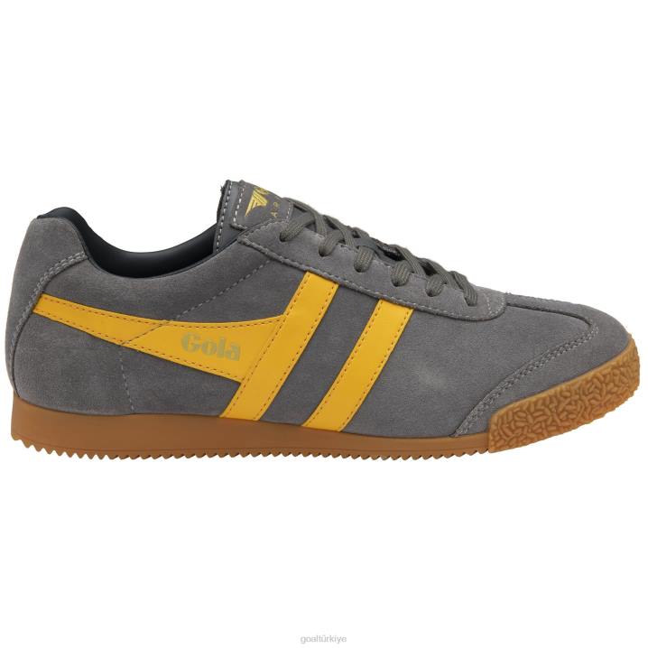 ayakkabı Z2PF158 erkekler Gola klasik harrier süet spor ayakkabı 5 kül/güneş/donanma