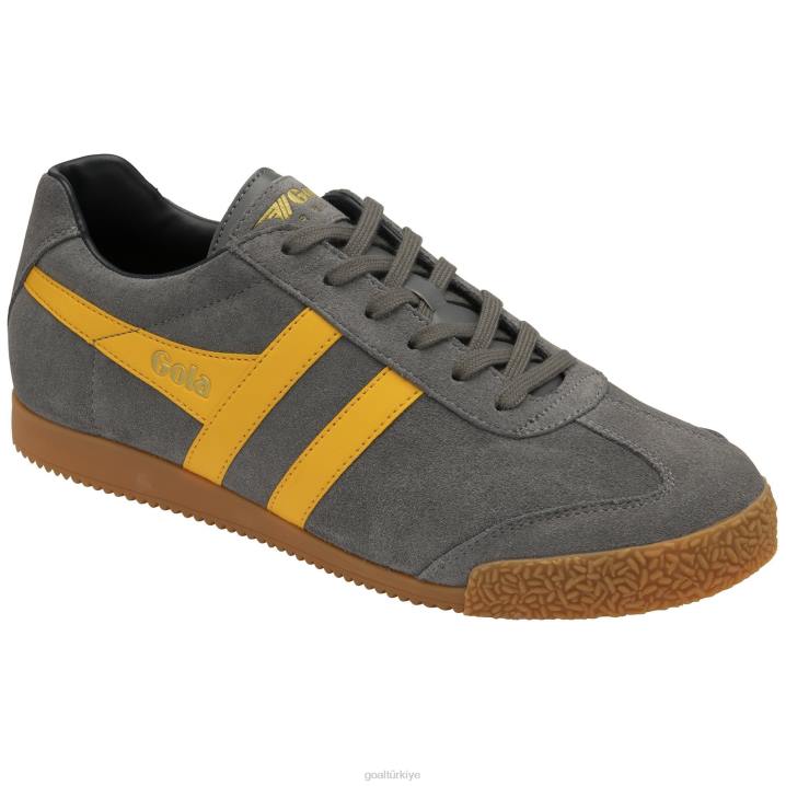 ayakkabı Z2PF158 erkekler Gola klasik harrier süet spor ayakkabı 5 kül/güneş/donanma