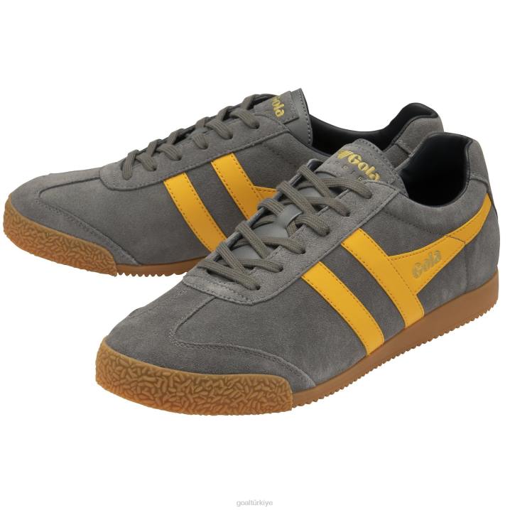ayakkabı Z2PF158 erkekler Gola klasik harrier süet spor ayakkabı 5 kül/güneş/donanma