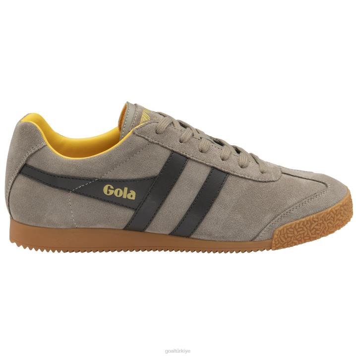 ayakkabı Z2PF160 erkekler Gola klasik harrier süet spor ayakkabı 5 gergedan/koyu kahverengi/güneş