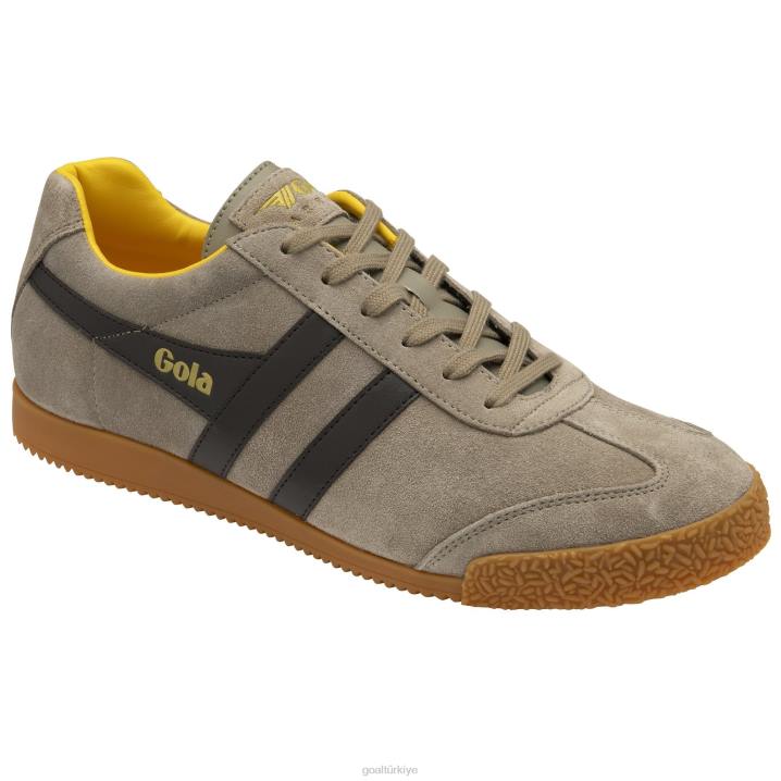 ayakkabı Z2PF160 erkekler Gola klasik harrier süet spor ayakkabı 5 gergedan/koyu kahverengi/güneş