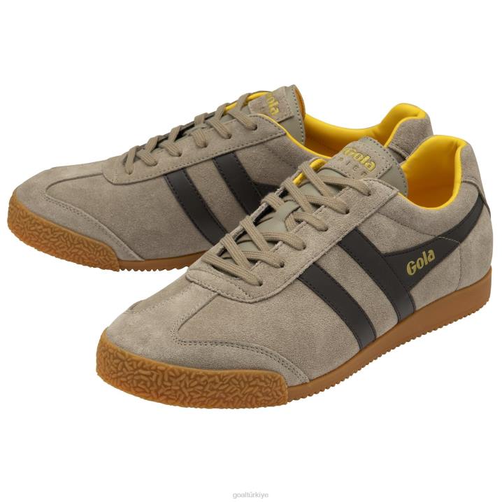 ayakkabı Z2PF160 erkekler Gola klasik harrier süet spor ayakkabı 5 gergedan/koyu kahverengi/güneş