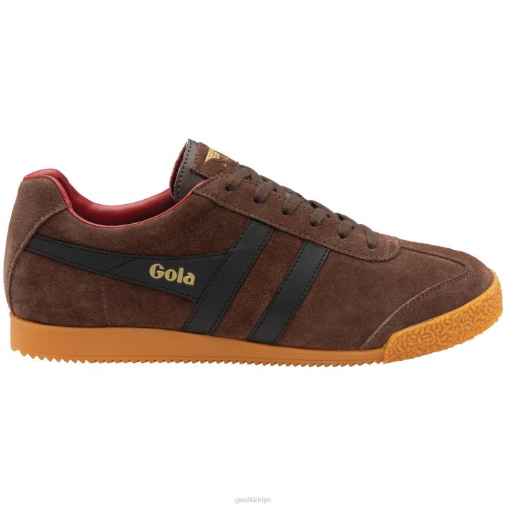 ayakkabı Z2PF172 erkekler Gola klasik harrier süet spor ayakkabı 5 koyu kahverengi/siyah/koyu kırmızı
