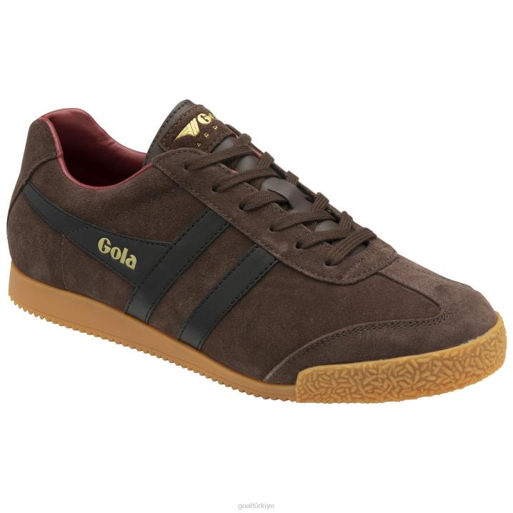 ayakkabı Z2PF172 erkekler Gola klasik harrier süet spor ayakkabı 5 koyu kahverengi/siyah/koyu kırmızı