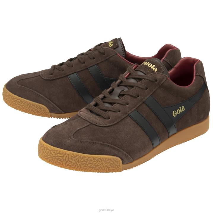 ayakkabı Z2PF172 erkekler Gola klasik harrier süet spor ayakkabı 5 koyu kahverengi/siyah/koyu kırmızı