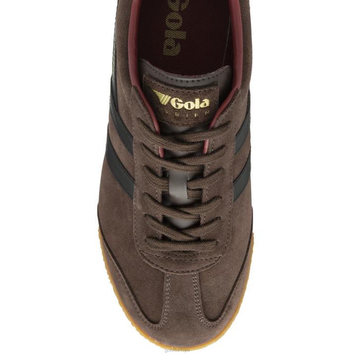 ayakkabı Z2PF172 erkekler Gola klasik harrier süet spor ayakkabı 5 koyu kahverengi/siyah/koyu kırmızı
