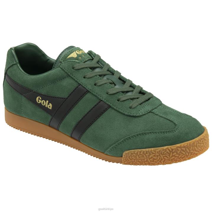 ayakkabı Z2PF175 erkekler Gola klasik harrier süet spor ayakkabı 6 herdem yeşil/siyah