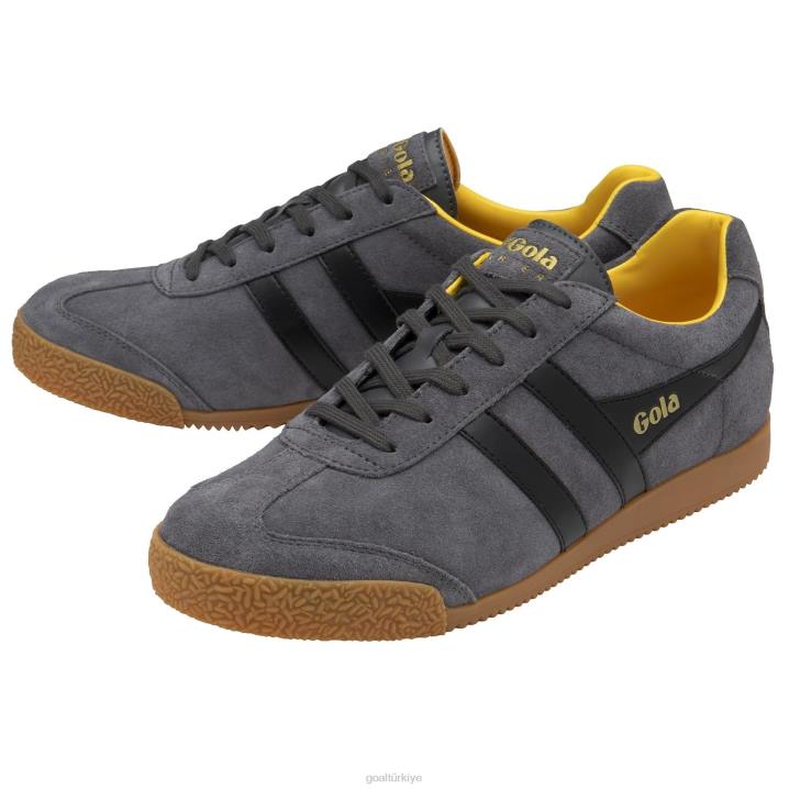ayakkabı Z2PF176 erkekler Gola klasik harrier süet spor ayakkabı 6 gölge/siyah/güneş