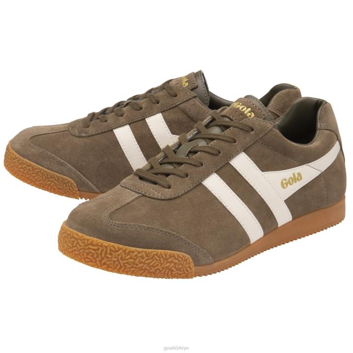 ayakkabı Z2PF178 erkekler Gola klasik harrier süet spor ayakkabı 6 haki/kırık beyaz