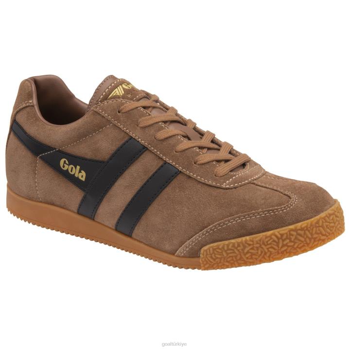 ayakkabı Z2PF179 erkekler Gola klasik harrier süet spor ayakkabı 6 tütün/siyah