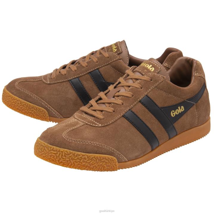 ayakkabı Z2PF179 erkekler Gola klasik harrier süet spor ayakkabı 6 tütün/siyah