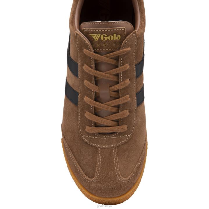 ayakkabı Z2PF179 erkekler Gola klasik harrier süet spor ayakkabı 6 tütün/siyah