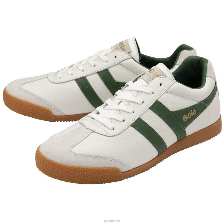 ayakkabı Z2PF240 erkekler Gola klasik harrier deri spor ayakkabı Beyaz Yeşil