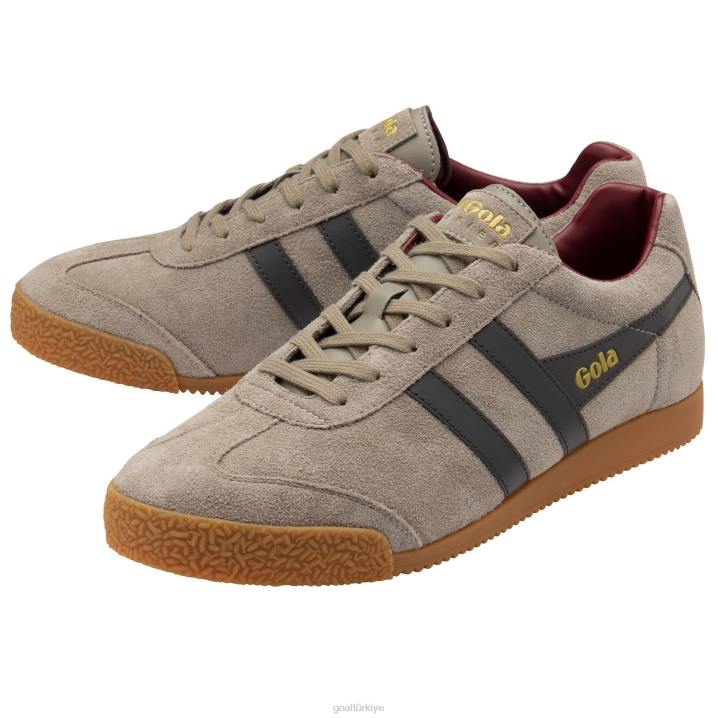 ayakkabı Z2PF256 erkekler Gola klasik harrier süet spor ayakkabı 7 gergedan/koyu kahverengi/koyu kırmızı