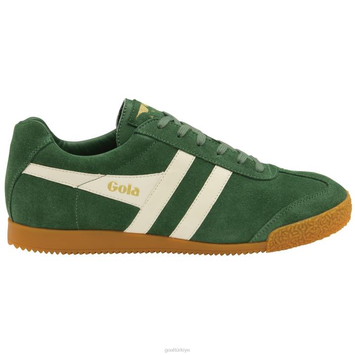 ayakkabı Z2PF264 erkekler Gola klasik harrier süet spor ayakkabı 7 herdem yeşil/kırık beyaz