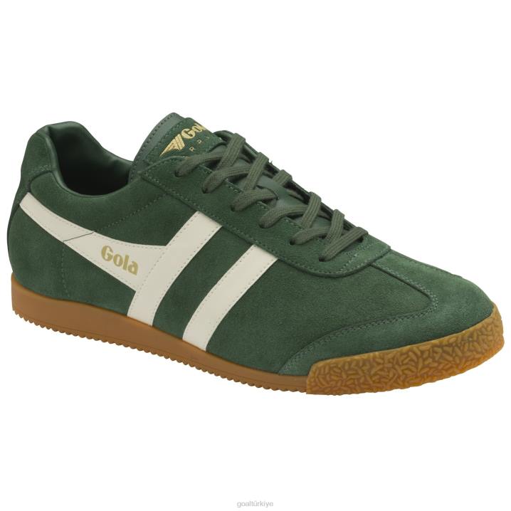 ayakkabı Z2PF264 erkekler Gola klasik harrier süet spor ayakkabı 7 herdem yeşil/kırık beyaz