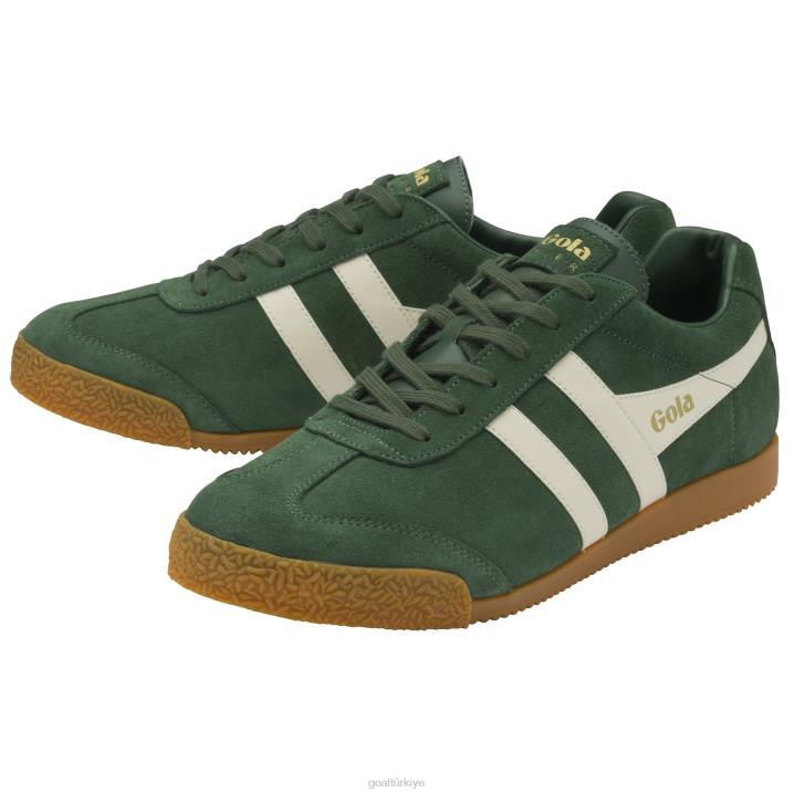 ayakkabı Z2PF264 erkekler Gola klasik harrier süet spor ayakkabı 7 herdem yeşil/kırık beyaz
