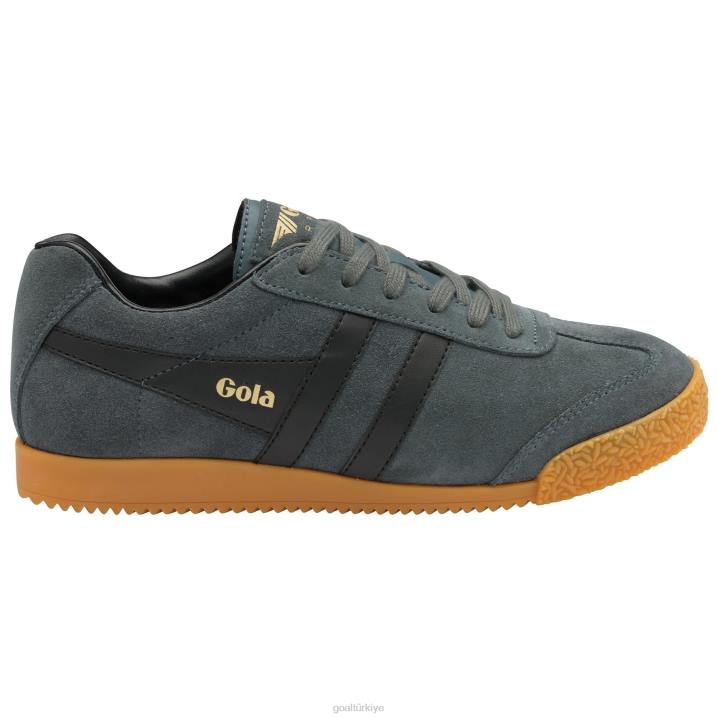 ayakkabı Z2PF659 erkekler Gola klasik harrier süet spor ayakkabı grafit/siyah