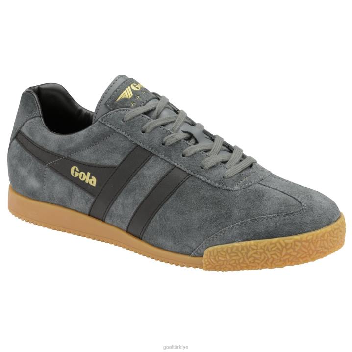 ayakkabı Z2PF659 erkekler Gola klasik harrier süet spor ayakkabı grafit/siyah