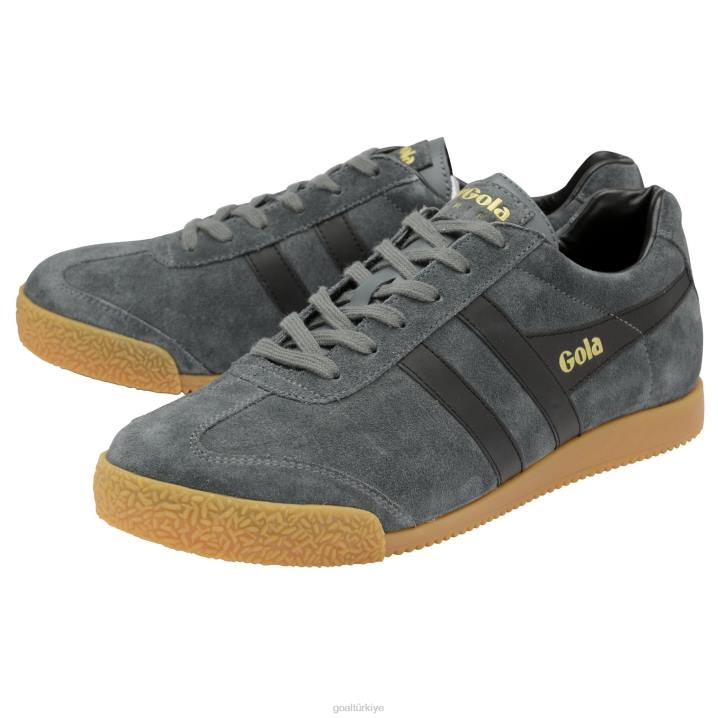 ayakkabı Z2PF659 erkekler Gola klasik harrier süet spor ayakkabı grafit/siyah