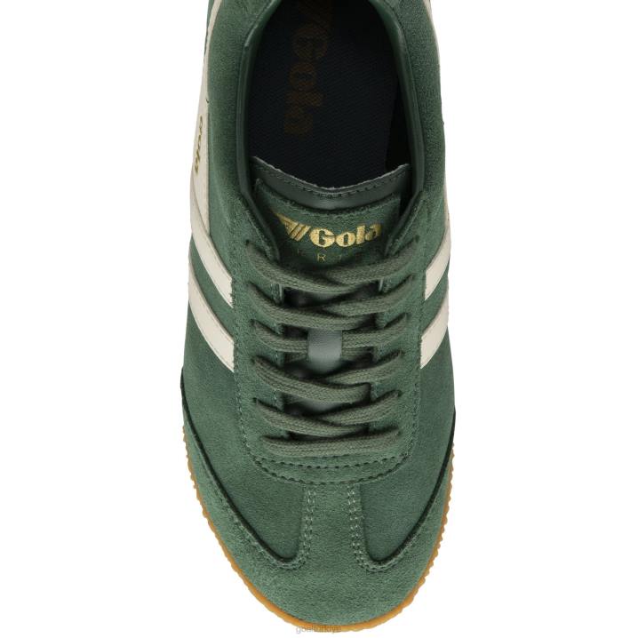ayakkabı Z2PF661 erkekler Gola klasik harrier süet spor ayakkabı herdem yeşil/kırık beyaz